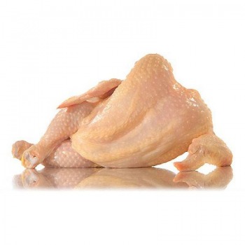 مرغ گرم هر عدد(حدود یک کیلو و نیم تا ۲ کیلو)