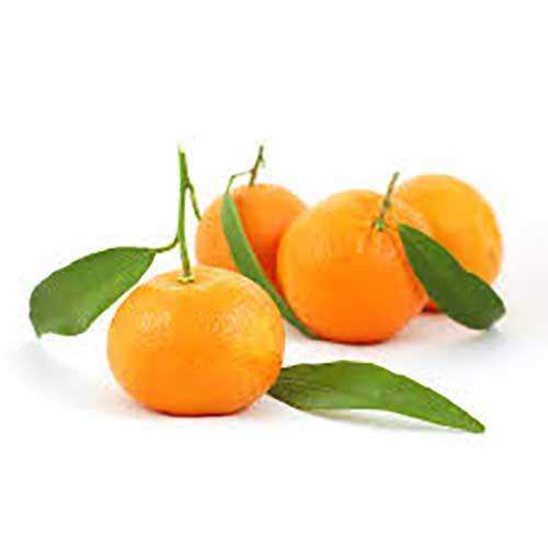 نارنگی تخم پاکستانی